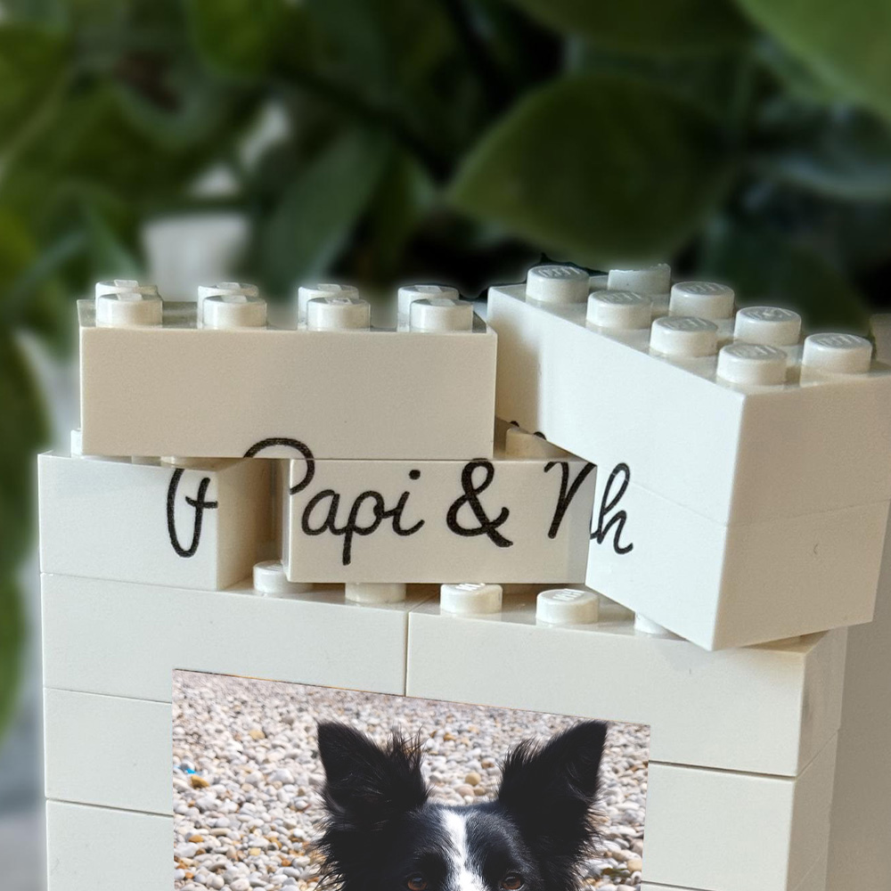 1PC Custom Pet Building Blocks - Personalized Engraved Gift บทวิจารณ์และราคา